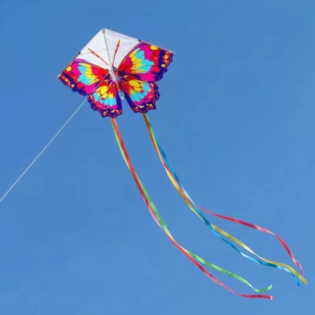 butterfly kite