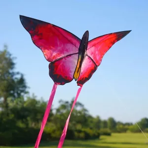 beautiful butterfly kite, butterfly kite
